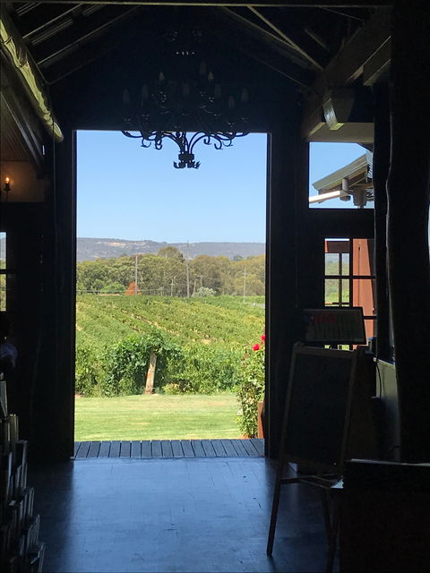 Black Swan Winery And Restaurant - Queensland Tourism 4