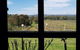 Black Swan Winery And Restaurant - thumb 5