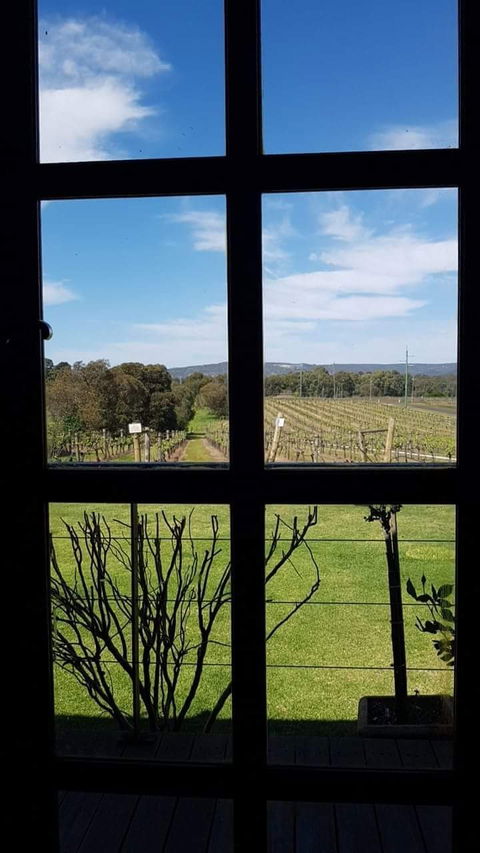 Black Swan Winery And Restaurant - Queensland Tourism 5