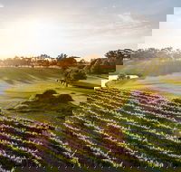 Sandalford Restaurant - Queensland Tourism