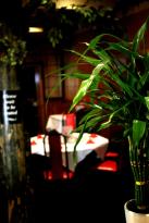 China City Garden Restaurant - Queensland Tourism 1