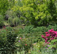 Berry Delightful - QLD Tourism