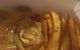 Funky Mexican Catina - thumb 3