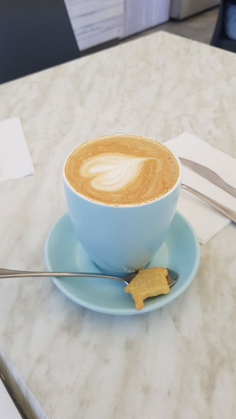 Little Teapot Cafe - Queensland Tourism 1