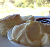 Tanglefoot Winery Cafe - Queensland Tourism