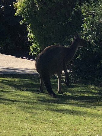 Footprints - Queensland Tourism 0