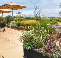 Arid Lands Botanic Garden Cafe