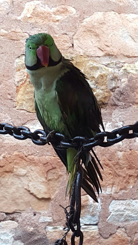 Quorn Cafe - Queensland Tourism 1