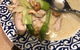 Mackay's Golden Sun Chinese Restaurant - thumb 0