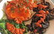 Majestic India - thumb 10