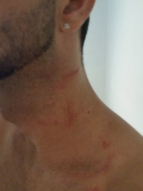 O'Malley's Irish Pub - Queensland Tourism 4