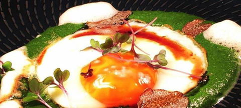 Aquavue Cafe Watersports - QLD Tourism 2