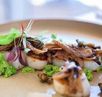 Kiwi Style Fish And Chips - Queensland Tourism