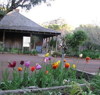 Stirling Cottage Kitchen - Queensland Tourism