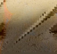 Sugarloaf Baking Co - Queensland Tourism