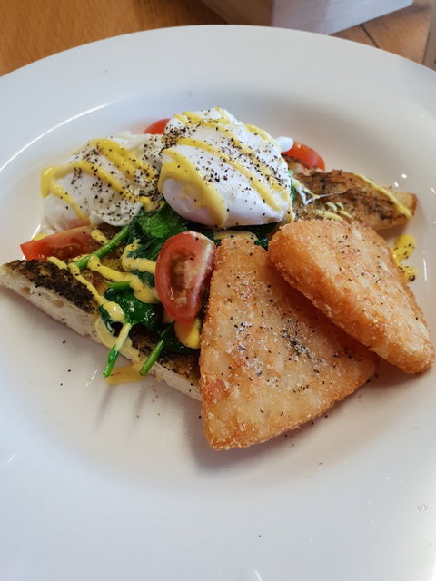 The Musical Fence Cafe - Queensland Tourism 5