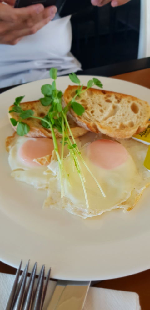 Migaloo's Cafe - Queensland Tourism 1