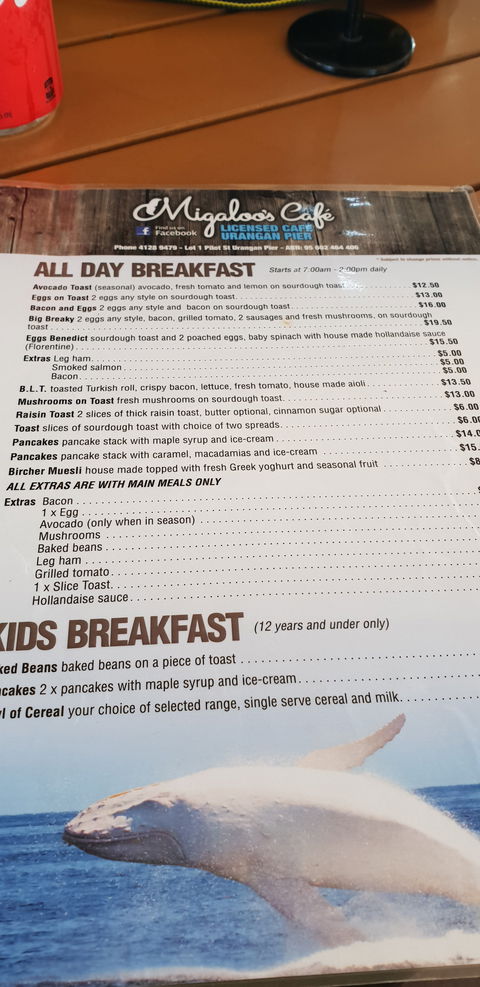 Migaloo's Cafe - Queensland Tourism 3