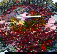Red Chilli Sichuan Burwood - Queensland Tourism