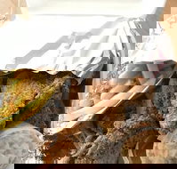 Chicken Episode - Queensland Tourism