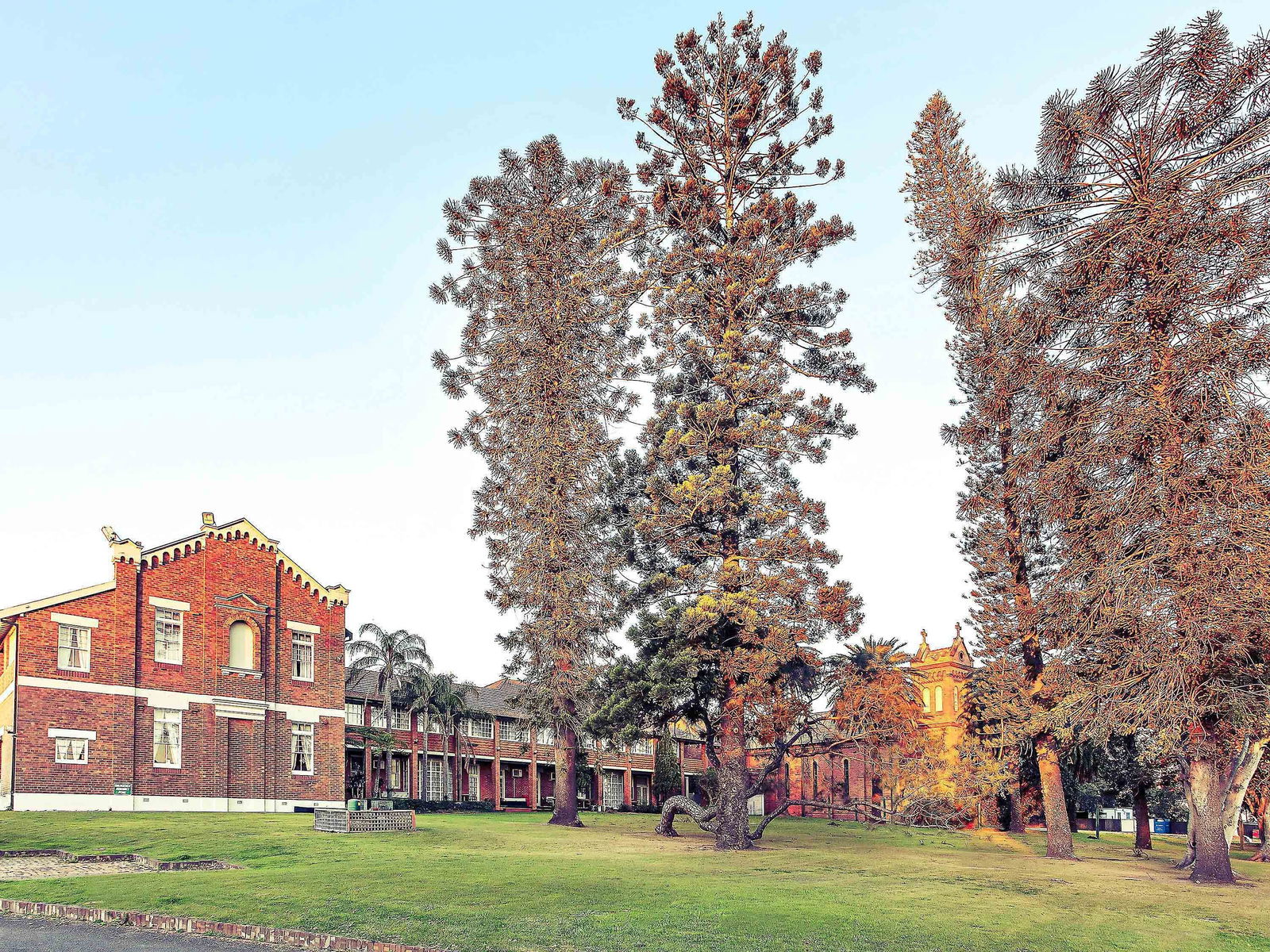 Maitland NSW QLD Tourism