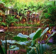 Daintree Eco Lodge  Spa - QLD Tourism