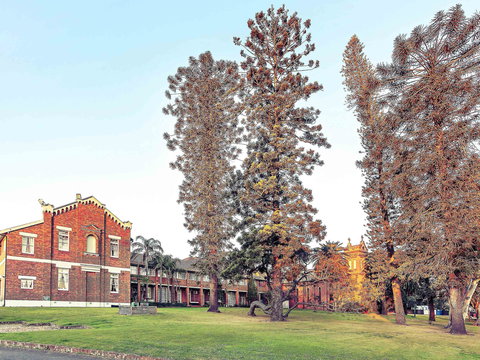 Mercure Monte Pio Hotel & Conference Ctr - Queensland Tourism 0