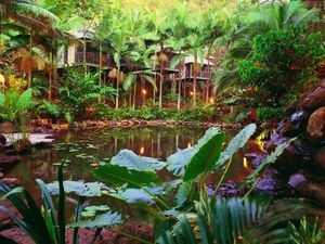 Daintree Eco Lodge & Spa - Queensland Tourism 0