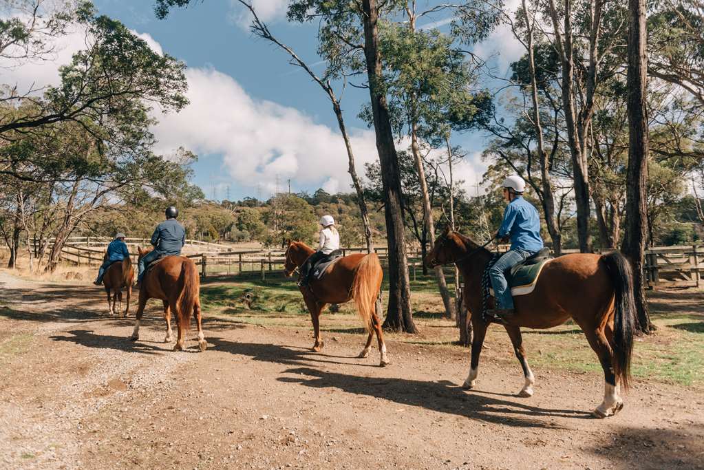 Launceston TAS QLD Tourism