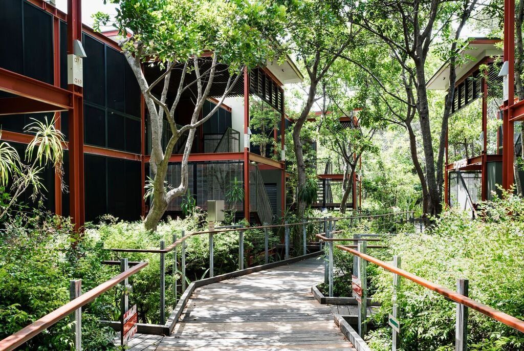 Hayters Hill NSW QLD Tourism