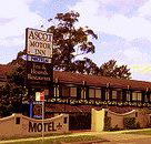 Golden Chain Ascot Motor Inn - Queensland Tourism