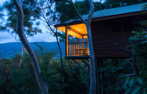 Thala Beach Nature Reserve - Queensland Tourism 0