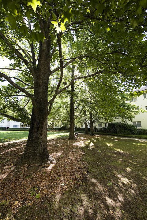 University House - ANU - QLD Tourism 28