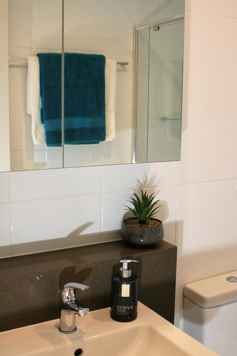 Modern Executive Apt@Barton*1BR*WiFi*Gym*Secure Parking*Canberra - QLD Tourism 13