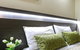 Morphettville Motor Inn - thumb 8