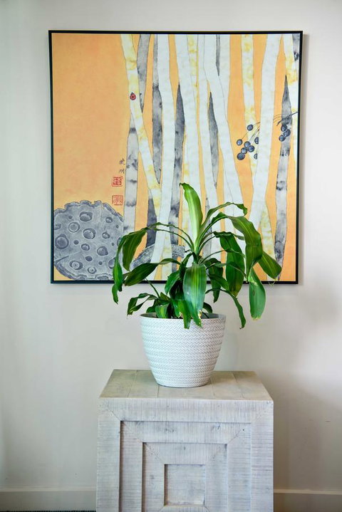 Port Adelaide Executive Waterfront Apartment - QLD Tourism 15
