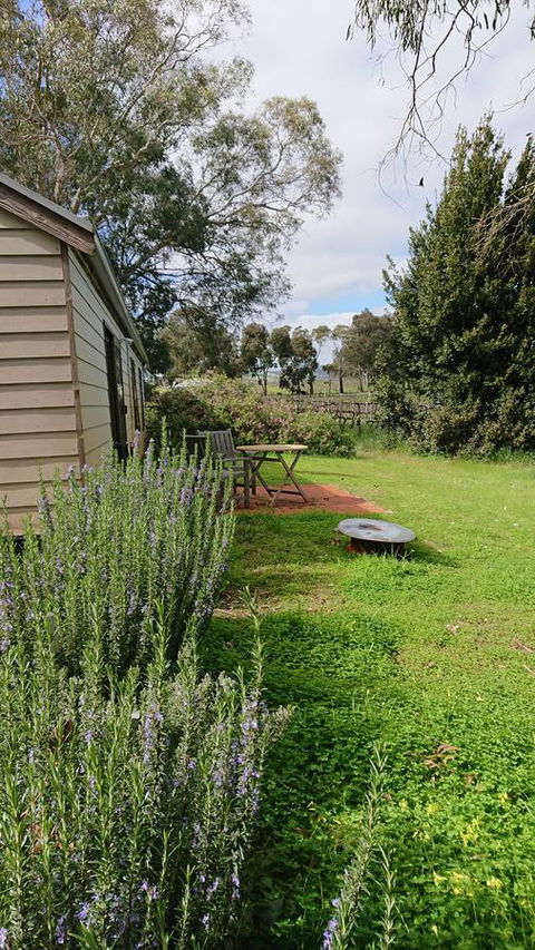 Lost In The Vines - QLD Tourism 22