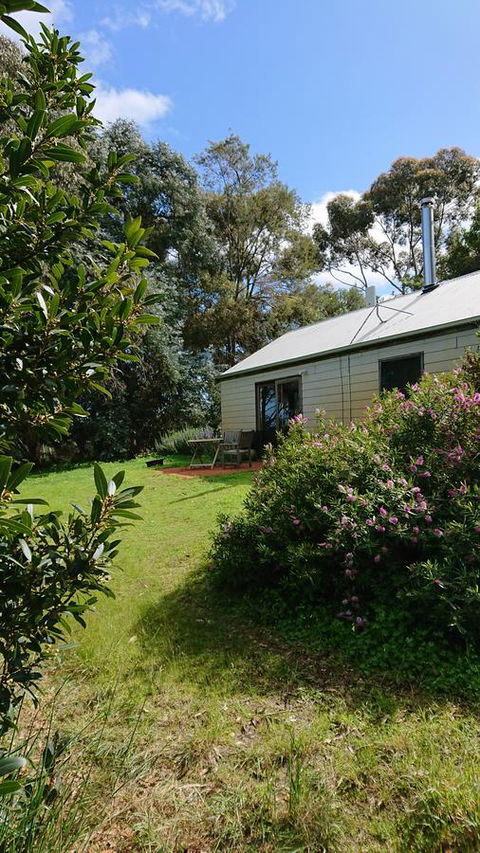 Lost In The Vines - QLD Tourism 26