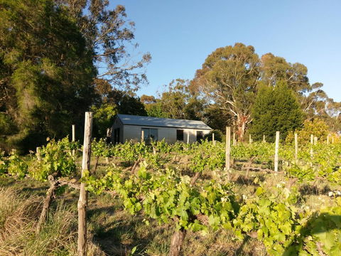 Lost In The Vines - QLD Tourism 25