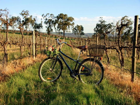 Lost In The Vines - QLD Tourism 17