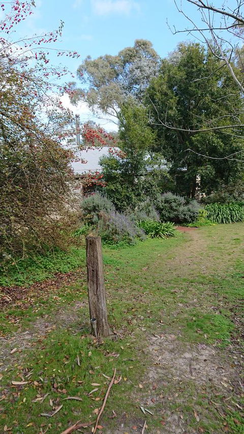 Lost In The Vines - QLD Tourism 21