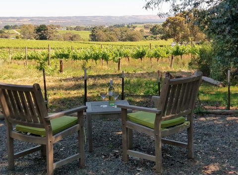 Lost In The Vines - QLD Tourism 23