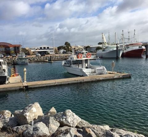 Port Lincoln Shark Apartment 1 - QLD Tourism 14