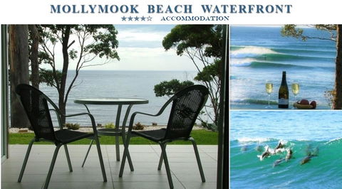 Mollymook Beach Waterfront - QLD Tourism 1