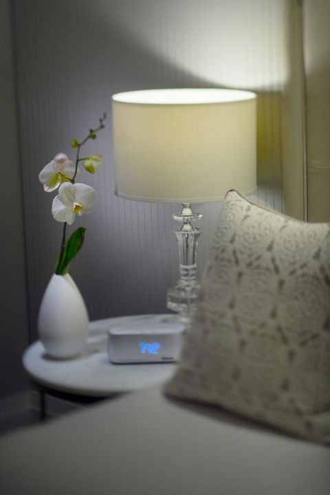 Mayfair Hotel - QLD Tourism 13