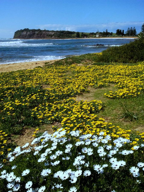 Serenity On Narrabeen Beach - 1Bdr Beachside Retreat - QLD Tourism 10