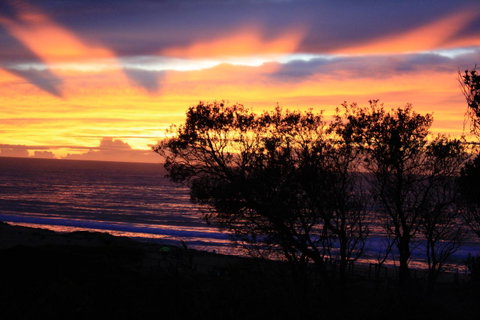 Serenity On Narrabeen Beach - 1Bdr Beachside Retreat - QLD Tourism 1