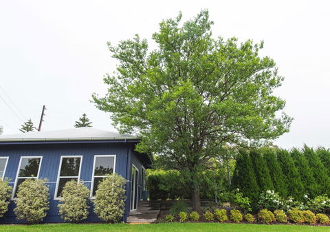 S T U D I O 22 Peaceful Retreat With Garden Views - QLD Tourism 11