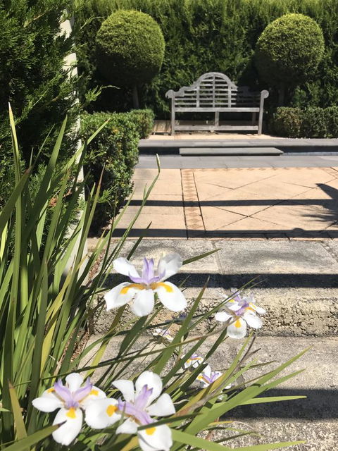 S T U D I O 22 Peaceful Retreat With Garden Views - QLD Tourism 13