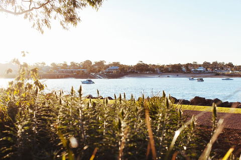 Majestic Oasis Apartments - QLD Tourism 4